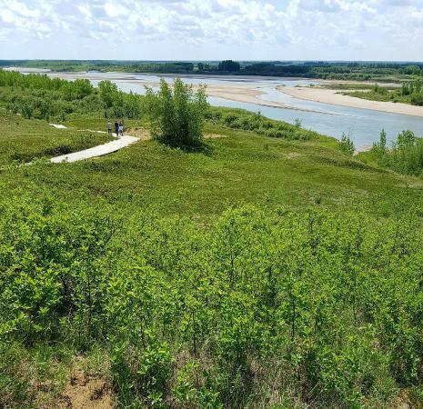 Cranberry Flats Conservation Area